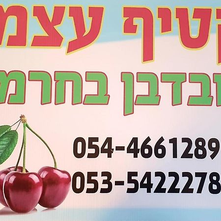 צימרים בגולן דובדבן בחרמון Mas'ada Екстер'єр фото
